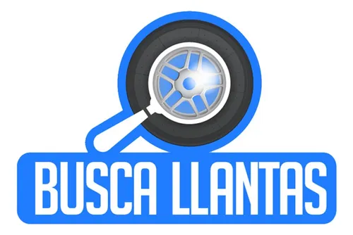 Set De 2 Llantas Wanda 195/55 R15 C187