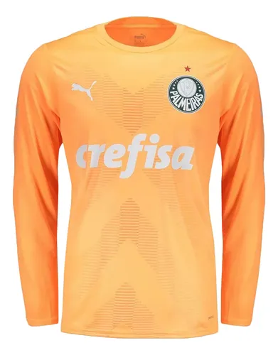 Camisa De Goleiro Puma Palmeiras Iii 2023 Masculino - Torced