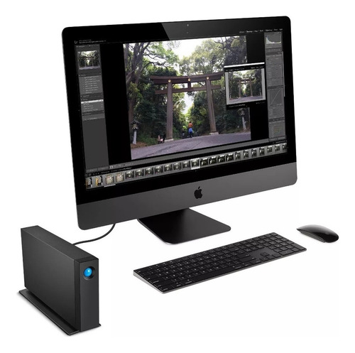 externo LaCie D2 Professional STHA6000800 6TB preto