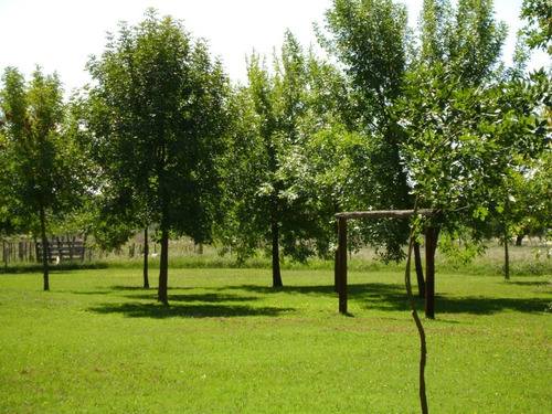 Imagen 4 de 30 de Dueño Alquila Quinta 15 Días Mínimo En Temporada - Zona Norte - Capilla Del Señor.
