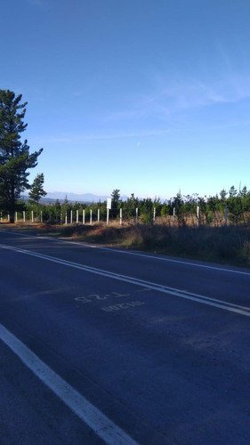 Parcelas 5000 M2, 100% Planas, Rol Propio. Alto Colorado!!