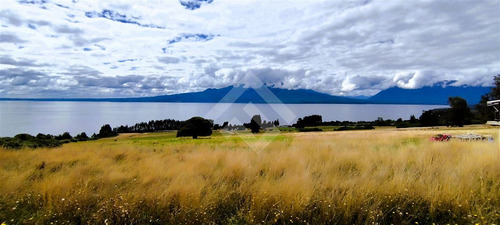 Exclusivo Sitio - 5.000 Mt2 - Ensenada - Puerto Varas