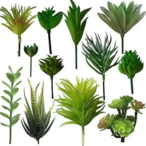 Tabla De Cocina Maniacs Mini Plantas Suculentas Artificiales