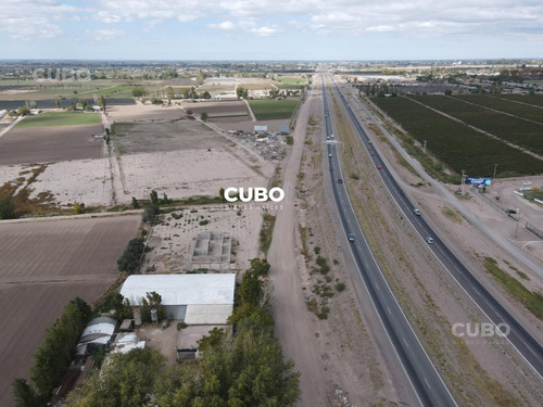 Cubo Vende 12 Hectareas De Viñedo En Rodeo De La Cruz Mendoza Argentina