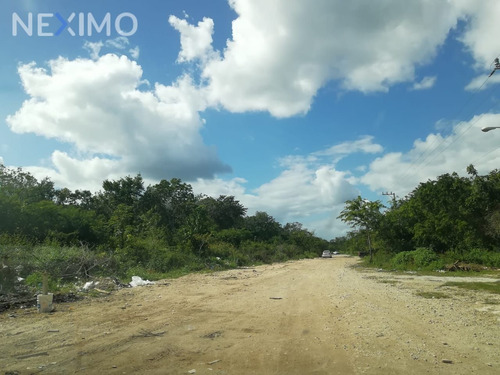 Imagen 1 de 5 de Terrenos En Venta En Region 7 En Tulum