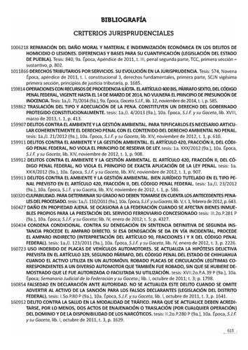 Código Penal Federal Comentado Y Correlacionado 2025. On Comentarios, Fundamento Constitucional, Correlaciones Y Jurisprudencia. Índice Tematizado, Conceptos. Declaratoria De Invalidez. Diagramas
