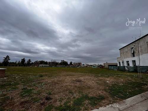 Lote Interno #200-300 - Pilar Del Este - Santa Elisa - 465m2 #id 18969