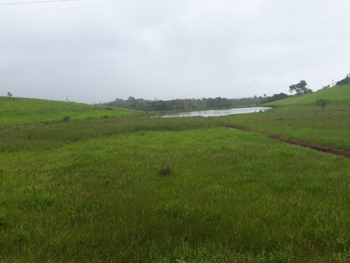 Imagem 7 de 14 de Magnífica Fazenda Em Pariquera-açu Medindo 58 Alqueires