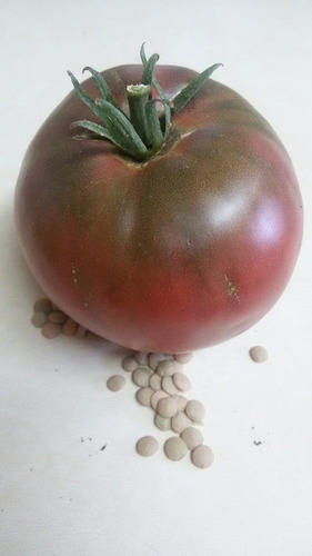 30 Semillas De Tomate Purple Cherokee (organico)