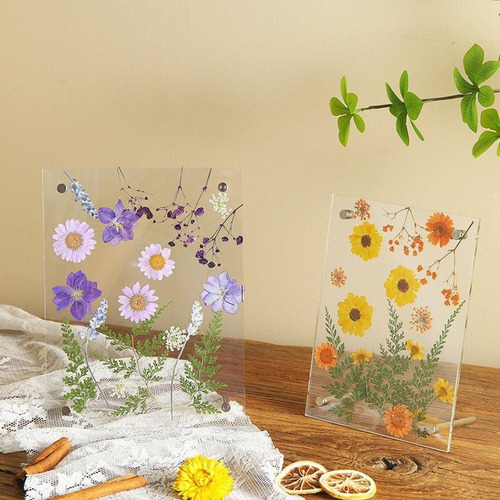 Marco De Flores Presionado Clear Frame Acrylic Frame