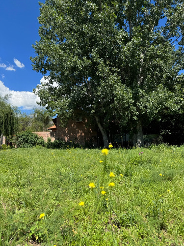 Terreno - Merlo