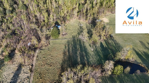 Pucón Palguin Alto Parcela Con 2 Cabañas- 1 Ha Cod.vtap193