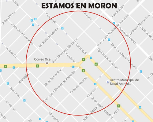 Disco De Freno Trasero Motomel Sirius 250