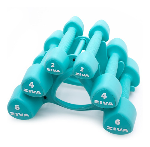 Set Kit Funcional Ziva Mancuernas Gym Ball 65 Cm Soga