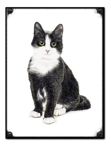 #890 - Cuadro Decorativo Vintage - Gato Gatito Cat No Chapa