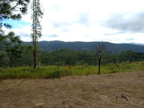 Imagem 9 de 11 de Lote/terreno Com Documentação Atualizada Em Cartório, 600m², Mairiporã-sp