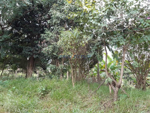 Imagem 3 de 11 de Terreno À Venda Em Jardim Monte Belo - Te268331