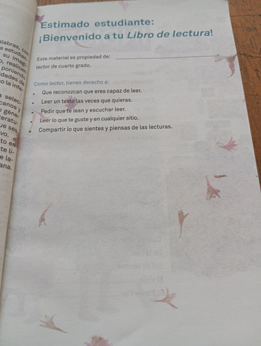 Español Libro De Lectura, Cuarto Grado (Usado)