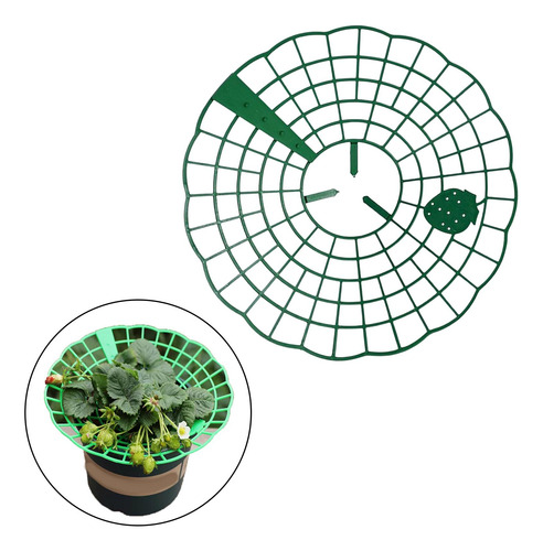 4 Strawberry Supports Strawberry Planting Frame Para Plantas