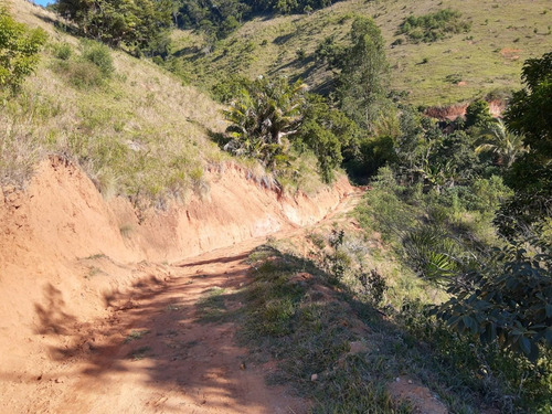 Imagem 4 de 14 de Vendo Chacara De 2,5 Alq Região De Natividade Da Serra (4238