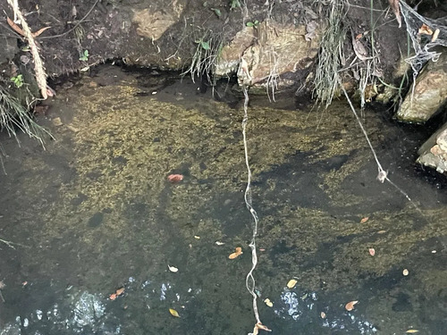 Invierte En Tierras: 3 Parcelas Bajo Valor De Mercado 2,22 H
