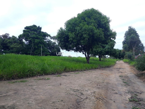 Sítio A Venda No Bairro Xurí Em Vila Velha - Es. - 280-1