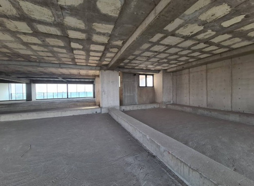 Imagen 7 de 14 de Departamento En Venta En Polanco Rubén Dario (m2d2464)