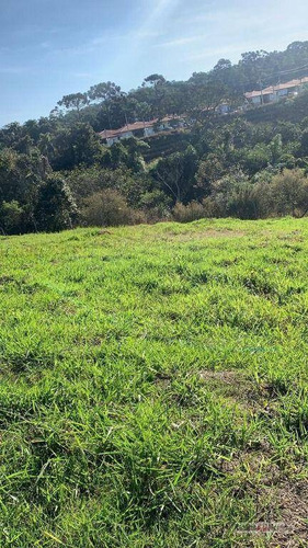 Imagem 10 de 14 de Terreno De 524 M² - Leve Declive - Portal Santa Paula - Te0362