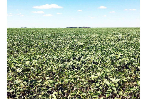 Imagen 15 de 15 de Campo En Quemu Quemu La Pampa