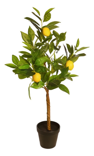 Planta Ciprés Limón Para Que Sirve