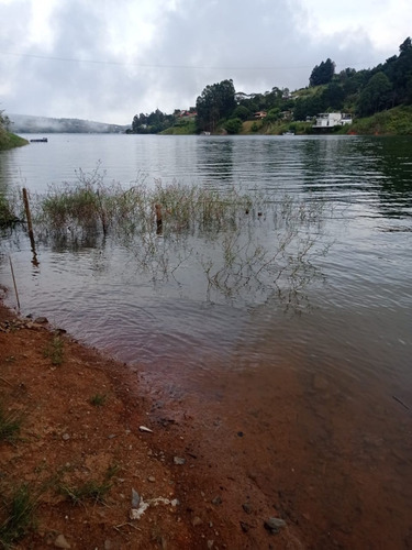 Imagen 8 de 15 de Finca En Venta -lago Calima