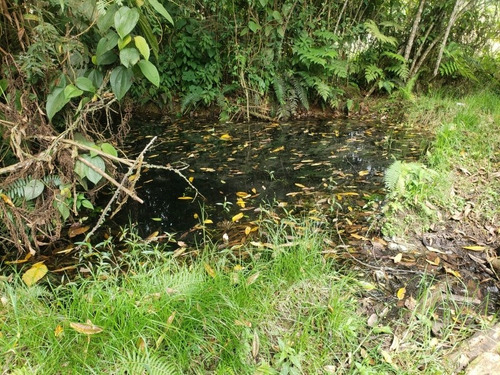 Imagen 21 de 29 de Vendo Finca En Subía Silvania 28.000 M2