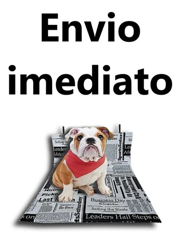 Imagem 7 de 7 de Tapete Higiênico Lavável Reutilizável Para Cães 1 Unidade G