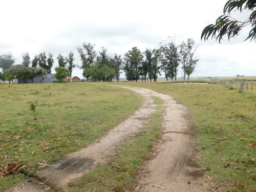 Venta De Campo En Maldonado - 35has Coneat 134
