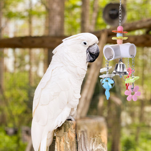 Juguete Colgante Para Pájaros Con Forma De Jaula Para Loros,