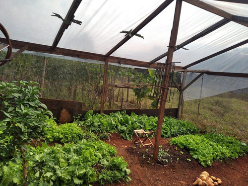 Imagem 12 de 12 de Chácara Com 3 Dormitórios À Venda, 2400 M² Por R$ 320.000,00 - Alto Da Boa Vista - Foz Do Iguaçu/pr - Ch0028