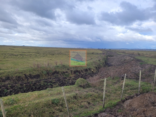 Imagen 19 de 30 de 532 Hectáreas Agrícolas Ganaderas Rocha