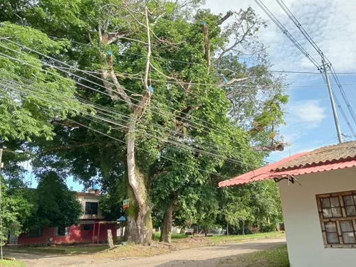 Casa