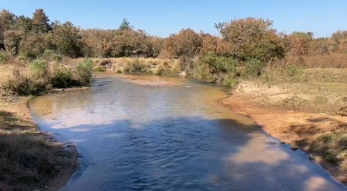 Imagem 6 de 14 de Fazenda De Grande Extensão Dupla Aptidão Para Venda Na Região De Campo Grande-ms, Com 4.742 Hectares, Montada Pecuária, Rica Em Agua, Pista Pouso - Fa00399 - 70075944