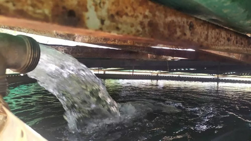Venta Granja Integral Productiva Avicola Ganadera Y Minera Tinaquillo Edo. Cojedes Negociable Con Financiamiento Jm