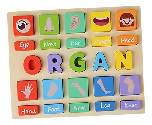 Juego De Rompecabezas Montessori, Juguete Útil Organo