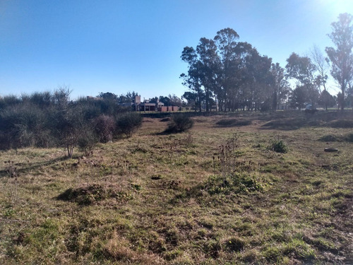 Imagen 3 de 4 de Terreno Venta 8850 M2 Sobre Ruta 55