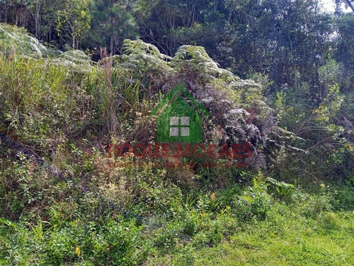 Imagem 8 de 15 de Chácara À Venda Em Juquitiba Sp Medindo 3800m² Ref.: 0966