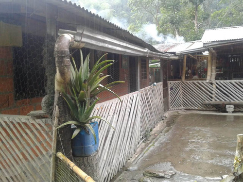Se Vende Finca Cafetera En El Tolima