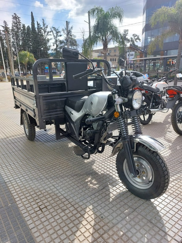 Imagen 8 de 17 de Zanella Tricargo Zmax 200 - Unico Moto Canning