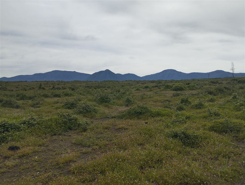 Vende 49 Hectáreas En Río Claro, Región Del Maule