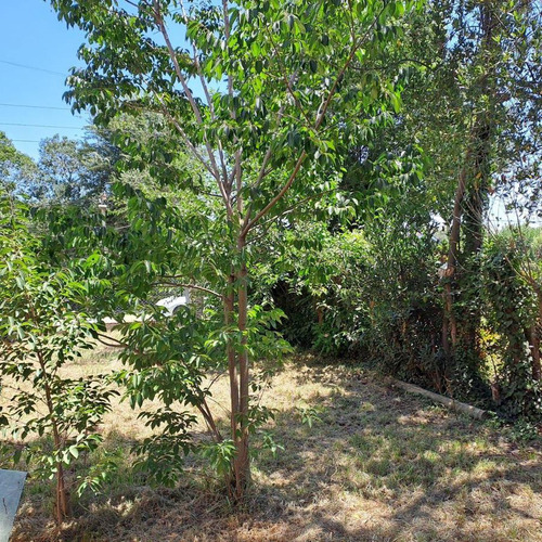 Lote En Venta De 300m2 Ubicado En Tristán Suárez