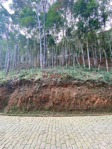 Imagem 1 de 7 de Terreno Com 1685 M² Em Condomínio No Parque Do Imbuí. - Te00037 - 32109272