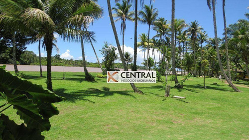 Imagem 8 de 20 de Ilha À Venda, 110000 M² Por R$ 10.000.000,00 - Itacaré/ba - Il0001