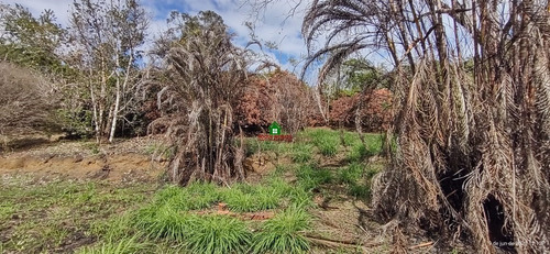 Imagem 8 de 8 de Terreno Medindo 5.401 M² Em Miracatu-sp Ref.: 0686